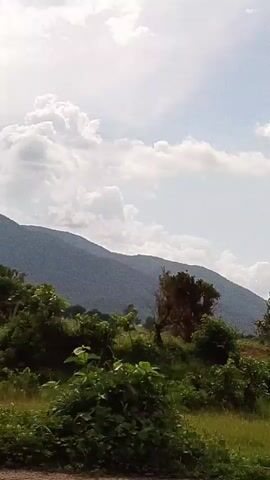 The video shows a view from a vehicle, looking out at a landscape. The landscape consists of green fields, trees, and a large mountain range in the background. The sky is filled with white, fluffy clouds. The perspective suggests the vehicle is moving, as indicated by the slight blur and the changing view of the trees and fields. There are no people or specific objects of interest visible in the frame. The overall impression is of a scenic drive through a rural or mountainous area.