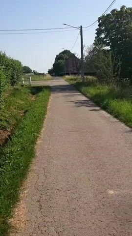 This is a video clip filmed from a low perspective, looking down a paved road that appears to be in a rural setting. The road is cracked and weathered, with lush green grass growing on either side. In the distance, several trees and a building, possibly a farmhouse, can be seen. A utility pole with wires runs alongside the road, and a street light is attached to it. The sky is clear and blue, suggesting a sunny day. The scene appears tranquil and serene, with no people or vehicles visible. The overall impression is one of a quiet, picturesque countryside path. The time of day is likely daytime, given the bright sunlight and clear sky. The location is identified as Thuin, Belgium.