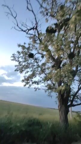 The video shows a person on a bicycle on a dirt road. The person is wearing a helmet and is riding towards the camera. The road is lined with trees and grass. The sky is cloudy and it appears to be evening.
