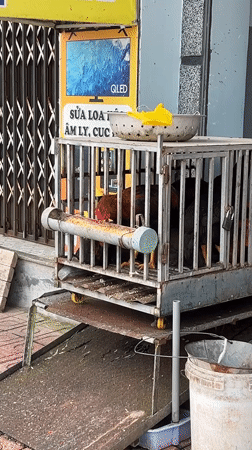 Early morning street life documented in Bac Nha Trang Ward