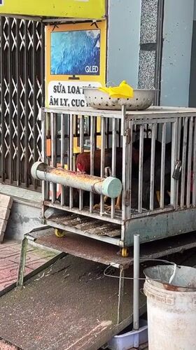 Early morning street life documented in Bac Nha Trang Ward