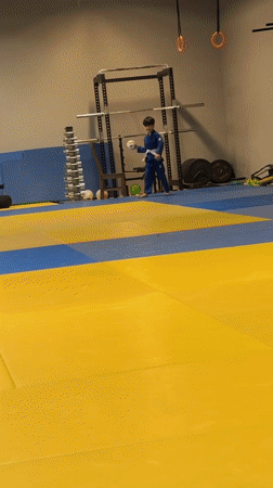 Kids' judo class with ball games on gym mats