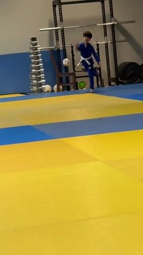 Kids' judo class with ball games on gym mats