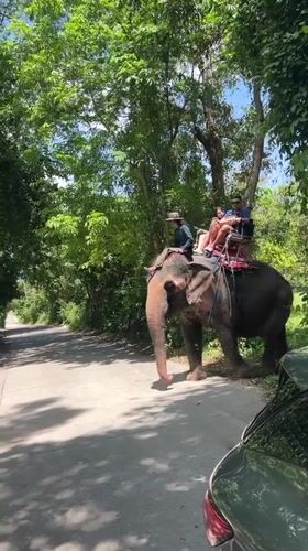 Morning tourism scenes captured across Ko Samui, Thailand locations