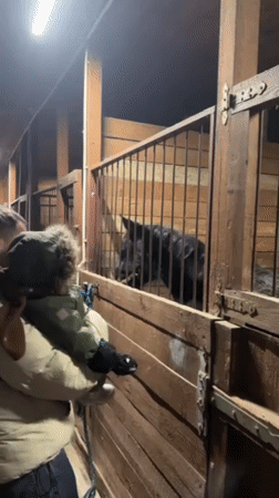 Family visit to horse stable in Kalinovo, Russia
