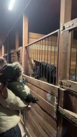 A man in an olive-green jacket and a grey knit cap with a fur trim is holding a toddler, dressed similarly, in front of a horse stall. A person wearing a grey hooded sweatshirt walks behind the man holding the child. The horse in the stall is black. The stall is made of wood and metal bars. The child is looking at the horse and making a sound. The man is also looking at the horse. The scene appears to be inside a stable, judging by the lighting and the wood construction of the stalls.