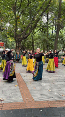 Traditional music performances enliven Qingyang District park and street