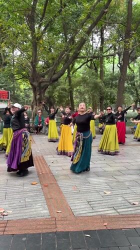 Traditional music performances enliven Qingyang District park and street