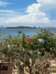 Morning coastal views captured from elevated Pattaya vantage point