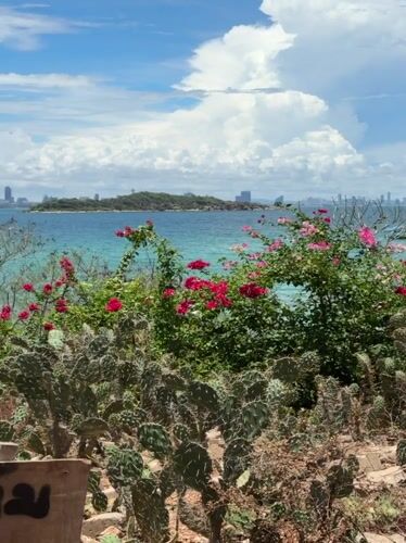 Morning coastal views captured from elevated Pattaya vantage point