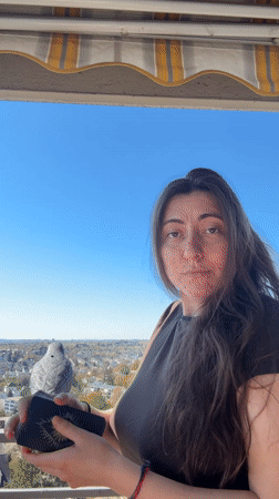 Woman draws tarot cards on sunny balcony in Waiblingen