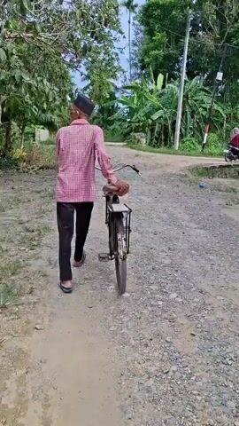 The video captures a man walking away from the camera along a dirt and gravel path. He is dressed in a red and white plaid long-sleeved shirt, dark trousers, and flip-flops, and wears a black peci (cap) on his head. The man is pushing an older model bicycle, holding its handlebars with his right hand as he walks. The bicycle is dark-colored with a brown seat.

The scene is set in a rural or semi-rural environment, characterized by the unpaved path and abundant green foliage on both sides. Tall trees and banana plants are visible, contributing to a lush, tropical landscape. A utility pole stands on the right side of the path. The lighting suggests it is daytime. No text is visible in the frame. The location context provided indicates this scene takes place in Aluebuket, Indonesia.