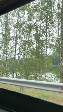 The video shows a view from inside a vehicle looking out a window. Through the window, a body of water is visible, likely a lake or river, with trees in the foreground. The trees appear to be birch trees with white bark and green leaves. The sky is overcast. The perspective suggests the vehicle is moving, as indicated by the slight blur and the shift in the scene. A metal guardrail is visible in the lower part of the frame, separating the vehicle from the view outside. The overall impression is of a scenic natural landscape during daylight.