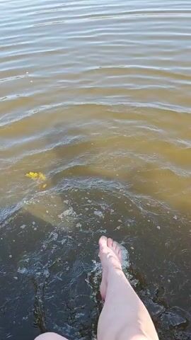 The video shows a first-person perspective of someone dipping their feet into a body of water. The water is calm with small ripples, and the color of the water is murky brown or green. In the background, there is a shoreline lined with trees and a clear blue sky. The person's bare feet are visible as they are submerged in the water, causing small splashes.