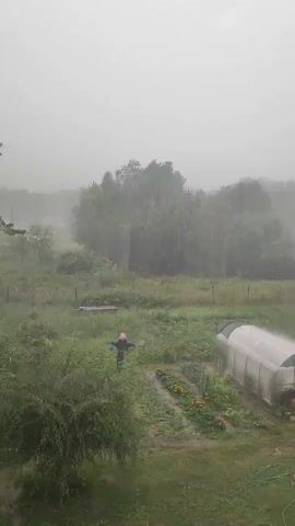 A panoramic shot captures a stormy day with heavy rain falling. In the foreground, a wooden pole stands tall, wrapped in white rope. To its right, a tree with green leaves sways dramatically in the wind. Below the tree, a table draped with a pink cloth is surrounded by two chairs and wooden pallets. Further in the background, a person wearing a pink and blue outfit is visible in a garden. A greenhouse, a garden hose, and a flower bed are also present. The landscape is dotted with trees and appears to be a rural setting. The overall scene is one of a tempestuous outdoor environment.