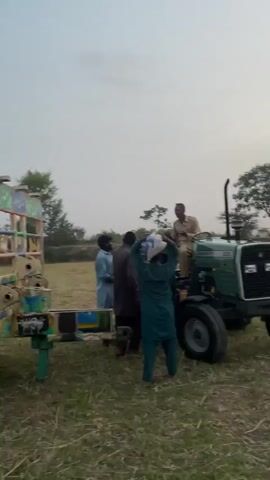 The video shows a group of men unloading bags of grain from a trailer pulled by a red tractor. The trailer is brightly painted. The men are dressed in casual clothing, including traditional Pakistani clothing. Some of the men are lifting the bags from the trailer, while others are standing around watching. The environment appears to be a field, with trees and a cloudy sky in the background.