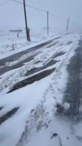 The video depicts a snow-covered road on a bleak, overcast day. The road itself is partially covered with snow, revealing tire tracks in some areas. Power lines run alongside the road, supported by wooden poles. The surrounding landscape is also blanketed in snow. There are no visible people, but there is a yield sign. The camera appears to be handheld, and there is noticeable wind noise. The overall atmosphere is cold and desolate.