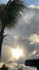 Colorful kites fill skies above crowded Denpasar beach