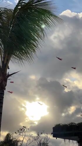 Colorful kites fill skies above crowded Denpasar beach