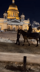 Winter evening scenes documented across snowy Saint Petersburg