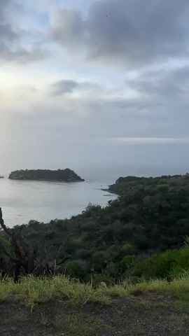 The video shows a scenic coastal landscape with islands in the ocean under a cloudy sky. The foreground features lush green grass and a thorny cactus-like plant. The middle ground displays a body of water with two small islands, one larger and flatter, the other smaller and more rocky. The background is dominated by the vast ocean and a sky filled with dramatic, textured clouds. Sunlight is breaking through the clouds, creating a shimmering reflection on the water. The overall impression is one of natural beauty and tranquility.