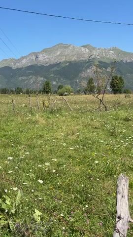 A telephoto shot pans across a grassy field dotted with small white flowers. In the foreground, a weathered wooden fence post with barbed wire is visible. Beyond the field, a line of trees marks the edge of a rural area, and a mountain range rises in the background under a clear blue sky.