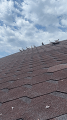Rooftop inspection tour of a quiet residential neighborhood