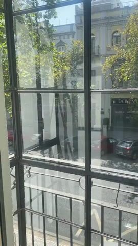 The video shows a view from a window overlooking a street. The window has a black grid. On the street, there are two cars, one red and one dark grey, parked near a building with an awning that reads "LA PHARMACIE". There are trees with green leaves on the street and in front of the building. The sun is shining, casting shadows. In the foreground, a white sheer curtain is being moved, obscuring the view. A faint reflection of a person holding a phone can be seen on the glass.