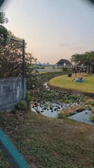 Casual park activities documented in Ban Bang Rak, Thailand