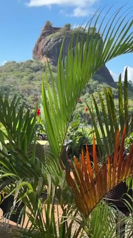 The camera slowly zooms in on a rock formation atop a green, tree-covered hill. The rock formation has a relatively flat surface and trees growing on top of it. Palm fronds and red flowers partially obscure the view in the foreground. The sky is blue with scattered white clouds.