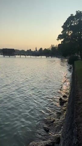 A still shot of a body of water, possibly a lake or ocean, with a pier or dock in the distance. The sky is a hazy yellow-orange, suggesting either sunrise or sunset. The water is calm, with small ripples. On the right side of the frame, there is a stone wall or embankment covered in grass. The left side of the frame shows the water extending into the distance, with a building and a few boats visible near the pier. In the center of the frame, a group of swans and ducks are swimming in the water. The lighting is soft and diffused, typical of twilight.