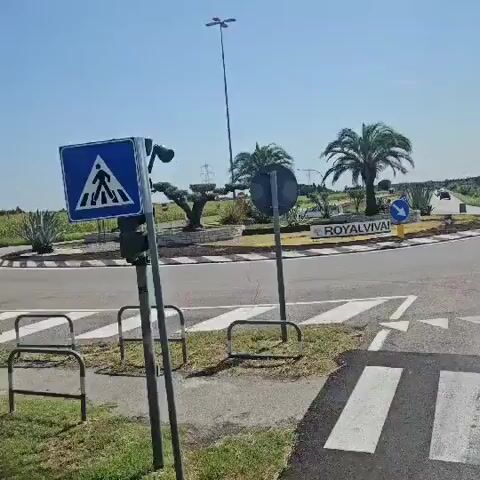 A video shows a roundabout with a sign that says "ROYALVIVA". There are palm trees and other plants in the center of the roundabout. A white car drives through the roundabout.