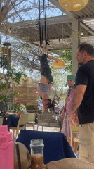 Gymnast performs on rings at busy Mitzpe Ramon cafe