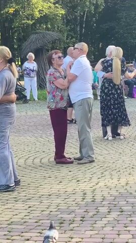 A group of elderly people are dancing outdoors in a park-like setting. In the foreground, a pigeon is pecking at the ground. The main focus is a couple in the center, the woman wearing a floral print shirt and burgundy pants, and the man wearing a white polo shirt and beige pants. They are holding each other and appear to be dancing. To their left, another couple is dancing, the woman wearing a grey jumpsuit. To the right, a woman with blonde hair in a ponytail is dancing with a man. In the background, several other people are visible, some dancing and others standing. The ground is paved with interlocking stones. There are trees and foliage in the background, suggesting a sunny day.