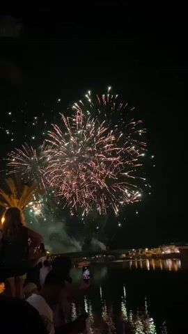 The video captures a nighttime scene where fireworks are being displayed over a body of water. A crowd of people is gathered on the shore, facing the water and the sky where the fireworks are exploding. The fireworks are colorful, featuring reds, greens, and white sparks. Some people are holding up their phones to record the spectacle. In the background, there are lights from buildings along the water's edge and a bridge. The water reflects the colorful lights from the fireworks and the buildings. A palm tree is visible on the left side of the frame. The overall atmosphere appears festive, suggesting a celebration.