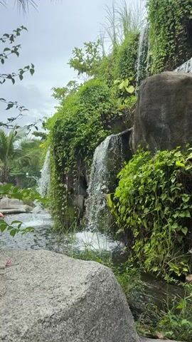 The video shows a man-made waterfall cascading over rocks covered in lush green foliage. The water flows into a dark pool where several koi fish swim. Stepping stones are placed in the water, leading towards a rocky alcove behind the waterfall. The scene is framed by large rocks in the foreground and an overcast sky overhead.