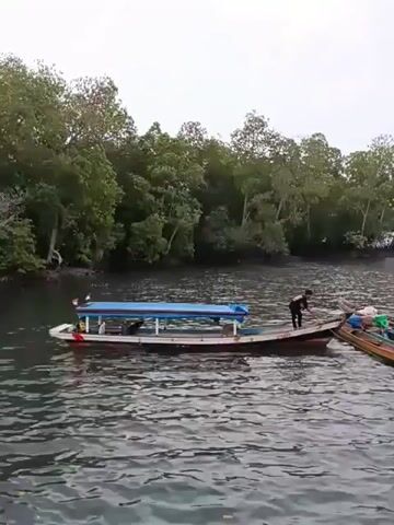 A person is standing on the back of a long, narrow boat with a blue canopy. The boat is on dark, rippling water, with a dense line of green trees on the shore in the background. Another boat, with a red and yellow hull, is tied to the right side of the first boat. The person on the first boat is facing away from the camera and appears to be working on the boat. The sky is overcast.