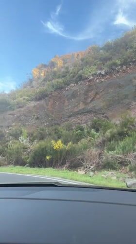 Driver travels winding Madeira highway between Santana and Funchal