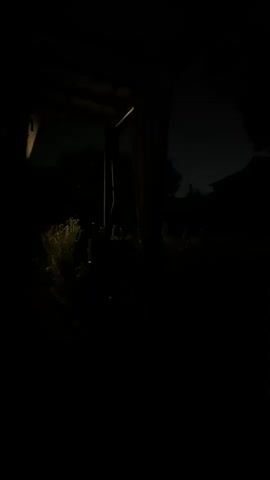 The video shows a very dark outdoor scene at night. A faint light source illuminates some tall grass or weeds on the left side of the frame. In the center, there are dark vertical shapes that appear to be posts or the trunks of trees, possibly part of a structure or a natural setting. The sky is dark, with a slight hint of lighter shade near the horizon, suggesting it might be dusk or dawn, or there's distant light pollution. The overall impression is one of low visibility and a potentially eerie atmosphere.