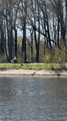 Spring day captured along tree-lined waterway in Dmitrov, Russia