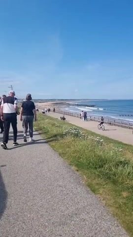 The video pans across a coastal path on a clear, sunny day. The path is paved and runs alongside a grassy area with wildflowers. To the right of the path, there is a beach with people walking and cycling, and the sea with gentle waves. In the distance, there are offshore wind turbines visible. The camera follows two individuals walking away from the camera on the paved path. Further along the path, other people are seen walking, cycling, and sitting on benches. A red double-decker bus is parked on the left side of the path, along with several cars. A seagull is visible flying in the sky.