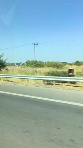 The video captures a view from a moving vehicle, likely a car, looking out the passenger window. The scene is dominated by a bright blue sky and a flat, open landscape. A paved road with a white line marking the lane is visible in the foreground, indicating the vehicle's movement. Adjacent to the road, a metal guardrail separates the roadway from the surrounding environment. Beyond the guardrail, dry, yellowish grass or crops stretch across the land. A few scattered trees and bushes are present, with one tree in the mid-ground being notably larger and leafier than the others. In the distance, several low-rise buildings or structures can be seen. A utility pole with electrical wires is also visible, further suggesting a semi-rural or suburban setting. The lighting indicates it is daytime, likely sunny given the clear sky and absence of shadows. There are no people or discernible interactions visible in the frame.