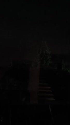 The video is a very dark, blurry, and unstable shot of an outdoor scene at night. A tree with dark green foliage is visible on the right side of the frame, illuminated by an unseen light source. To the left of the tree, there appears to be a dark structure, possibly a wall or building, with some steps leading upwards. The overall environment is shrouded in darkness and lacks clear detail, making it difficult to discern specific features or actions. The camera movement is shaky and disoriented.