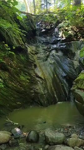 A waterfall cascades down a rocky, moss-covered cliff face into a calm, green pool of water. The surrounding area is densely wooded, with trees and foliage visible at the top of the frame. Rocks and pebbles line the edge of the pool. The scene appears to be in a natural, outdoor environment.