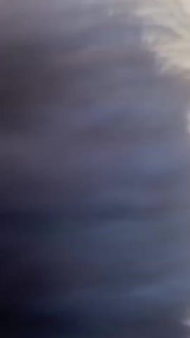 The video begins with a close-up shot of a small black dog, its tongue sticking out. The camera then pans to a wider view, showing the dog standing on a textured ground, possibly concrete. A person's legs, wearing socks and sandals, are visible in the foreground. The dog looks up at the person, appearing to bark or pant. The video ends with a shot of the dog looking directly at the camera, its mouth open, with the person's legs still in view. The environment appears to be outdoors, with some indistinct structures in the background.