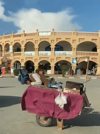 Ordinary street life documented across Kandahar on sunny afternoon