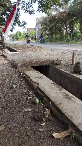 The video shows a narrow, dusty road in a rural area, possibly Southeast Asia, given the Indonesian flag visible on the left. A drainage ditch runs along the side of the road, partially covered by a concrete slab. Some green fruit, likely mangoes, are scattered on the ground near the ditch. Two people on motorcycles are riding down the road in the distance, and a third person appears to be walking on the opposite side of the road. The environment is lush with trees and vegetation. The overall impression is one of a quiet, everyday scene in a developing country.