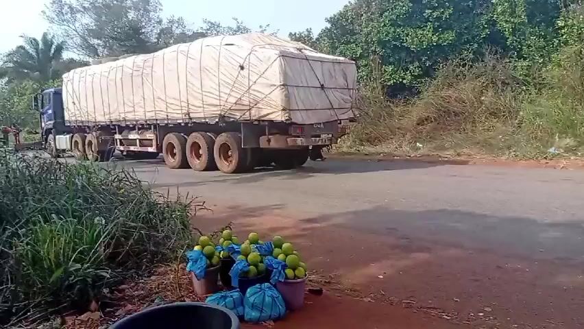 A large, covered truck drives down a rural road. A white van with "TRANSIT 1" written on the side passes it in the opposite direction. On the side of the road, several buckets filled with green fruits are placed on the ground. The road is surrounded by lush vegetation. A woman walks on the side of the road, carrying something on her head. The weather appears sunny and bright.