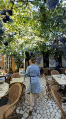 Flower-covered courtyard café in Odesa on a September morning