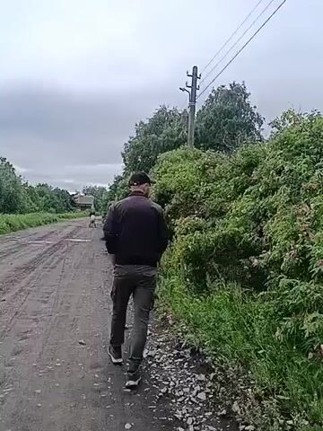 Two men are walking away from the camera on a dirt road. The man on the left is wearing a grey sweatshirt, grey pants, and a red backpack. He is holding a clear plastic bottle in his right hand. The man on the right is wearing a black jacket, dark pants, and a black baseball cap. The road is lined with green bushes and trees. There is a utility pole with wires on the right side of the road. The sky is overcast.